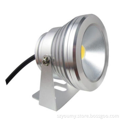 10W 12V underwater Cool white IP68 fountain pool Lamp, silver or black cover body